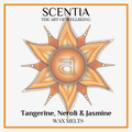 Tangerine, Neroli & Jasmine Wax Melt