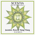 Jasmine, Rose & Ylang Ylang Wax Melt