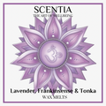 Lavender, Frankincense & Tonka Wax Melt