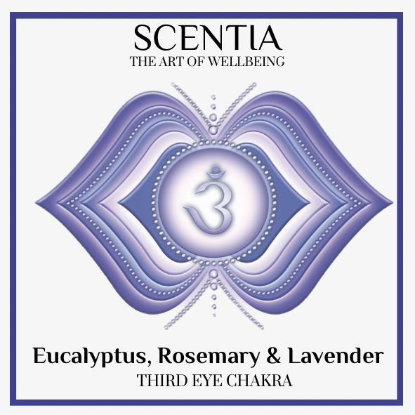 Eucalyptus, Rosemary & Lavender Scented Candle